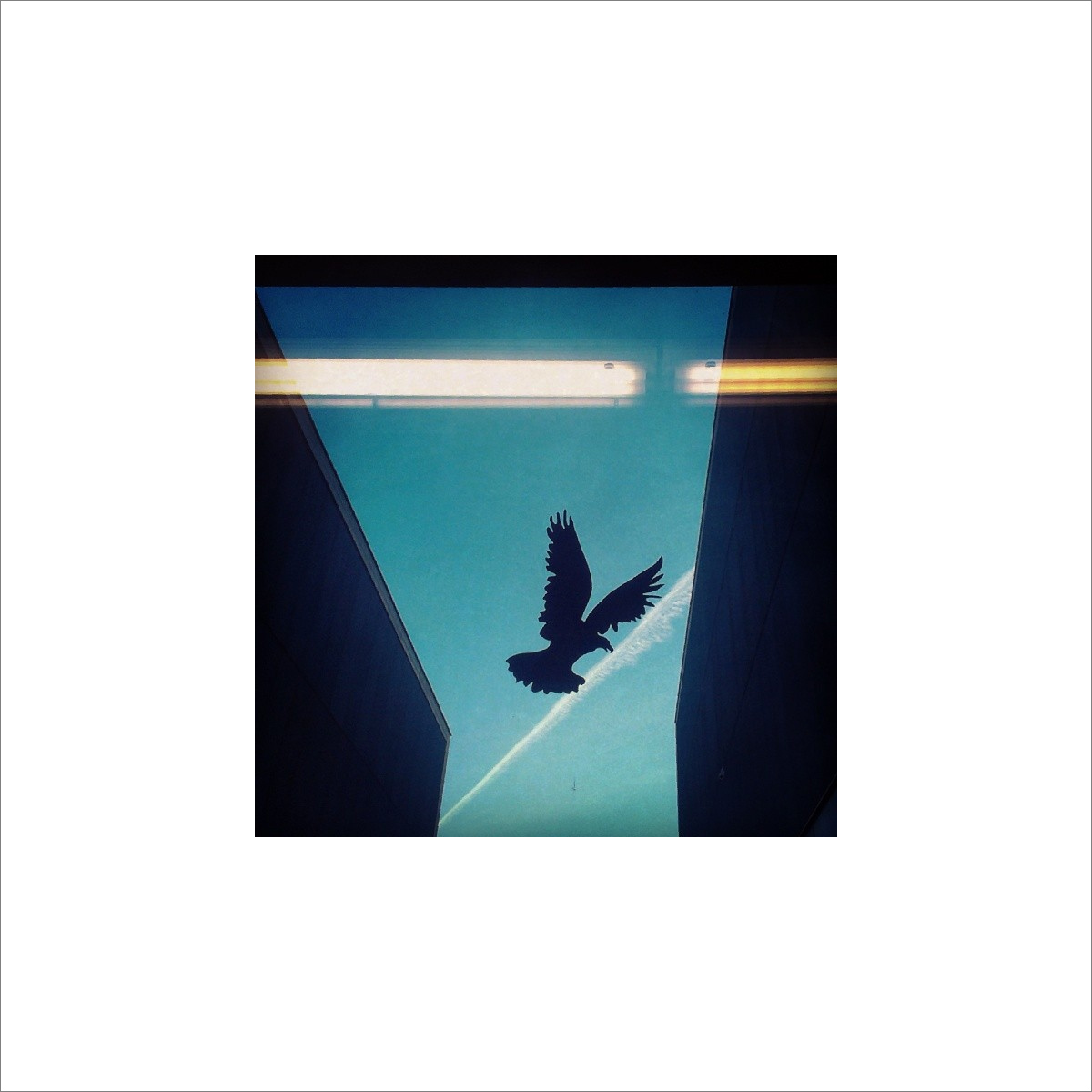 Reflections
