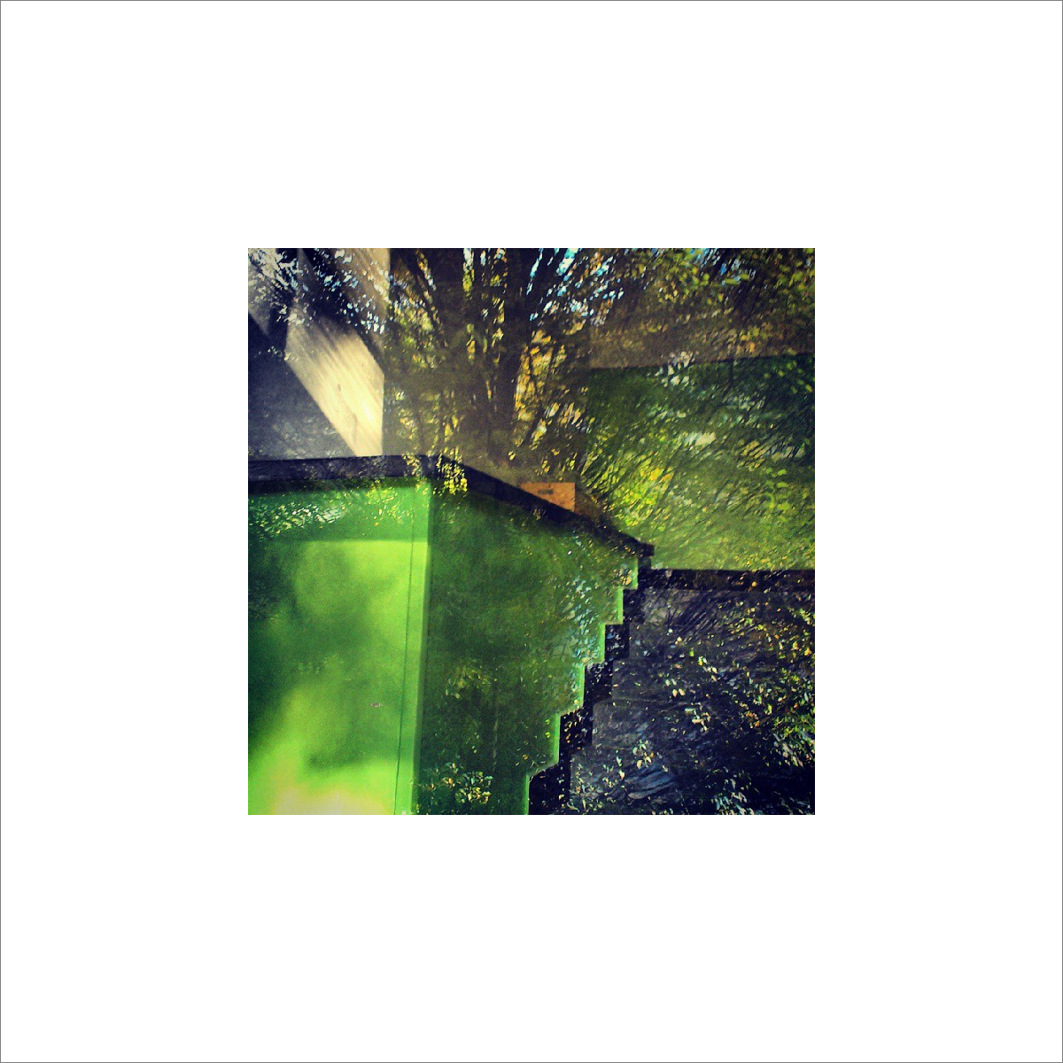 Reflections